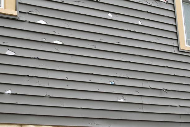 Affordable Siding Repair and Maintenance Services in Linden, TX